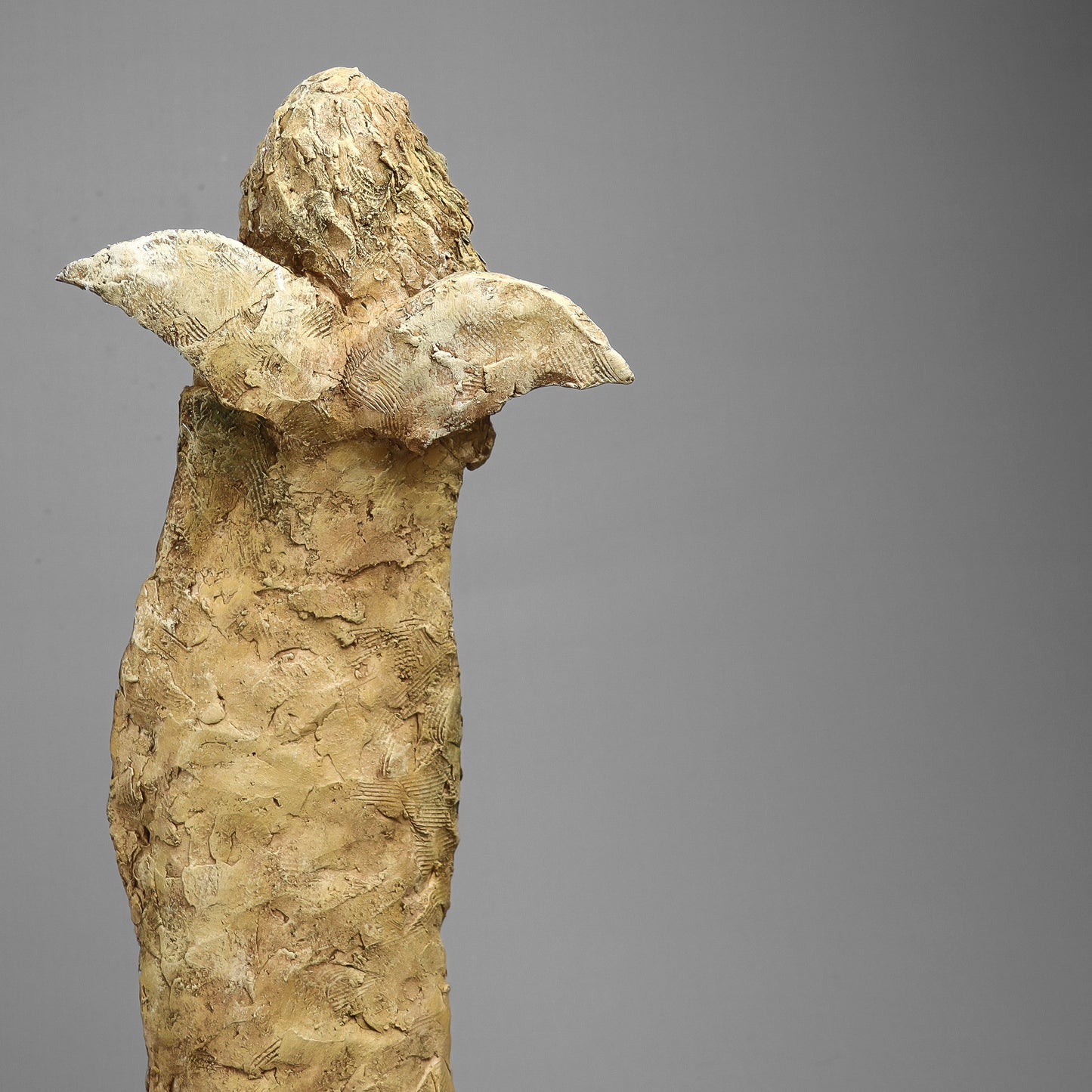 Burza włosów ze skrzydłami