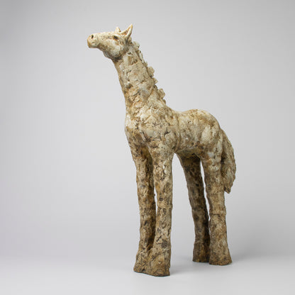 Konik